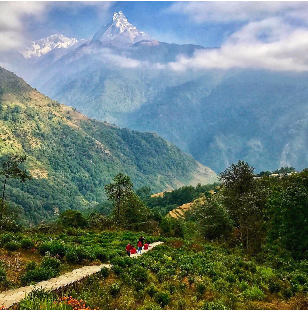 Nepalese coffee