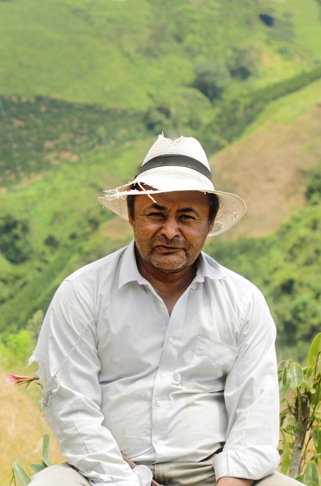 Notes from Colombia